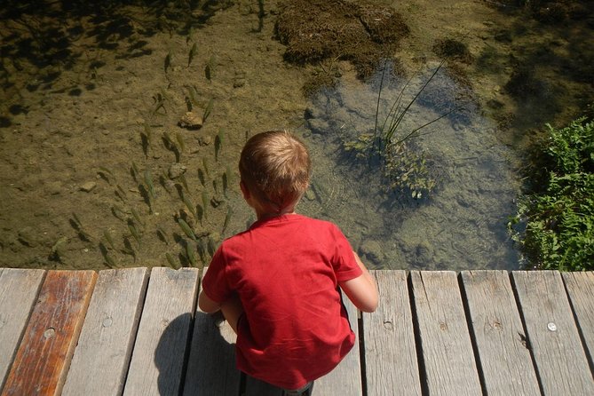 Day Trip From Dubrovnik to Krka Waterfalls - Tour Inclusions and Details