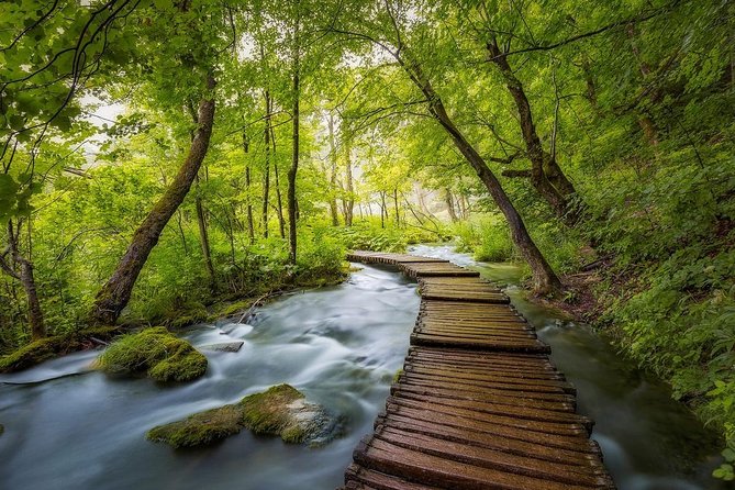 Day Trip From Dubrovnik to Plitvice Lakes - Accessibility Features