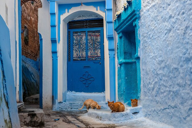 Day Trip From Fes to Chefchaouen - Booking Information and Directions