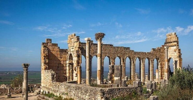 Day Trip From Fes to : Meknes, Volubilis and Moulay Idriss - Trip Duration and Booking Information