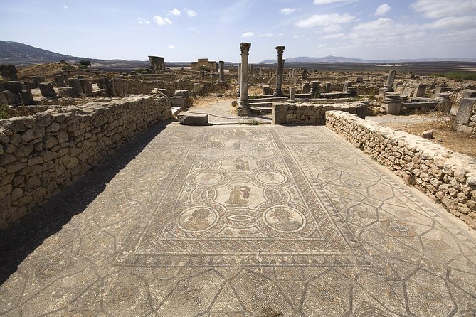 Day Trip From Fes to Meknes Volubilis - Traveler Experience
