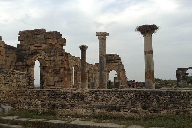 Day Trip From Fez to Meknes and Volubilis - Authentic Reviews and Ratings