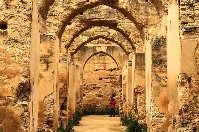 Day Trip From Fez to Meknes and Volubilis - Questions and Inquiries