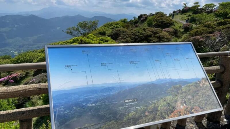 Day Trip from Fukuoka to Oita: Dazaifu, Beppu, Yufuin - What Makes This Tour Stand Out