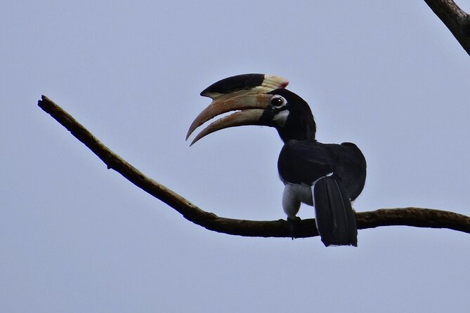 Day Trip From Goa to Anshi National Park (Kali Tiger Reserve) - Additional Information for Visitors