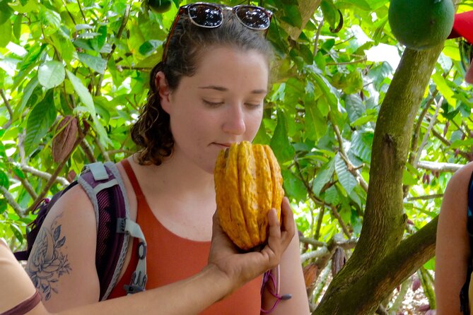 Day Trip From Guayaquil,Howler Monkey Trail and Visit to a Cacao Farm. - Tour Itinerary
