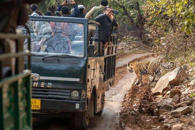 Day Trip from Jaipur to Ranthambore with Tiger Safari - FAQs