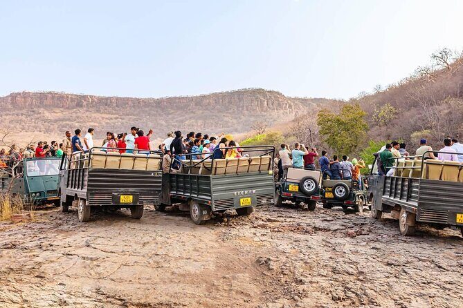 Day Trip from Jaipur to Ranthambore with Tiger Safari - Practical Tips for Your Trip