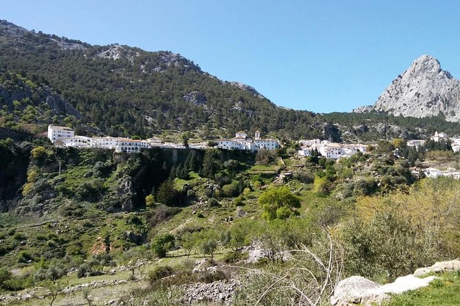 Day Trip From Jerez to White Villages - Must-Visit White Villages
