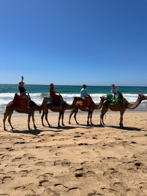 Day Trip From Malaga to Tangier Morocco All Inclusive - Good To Know