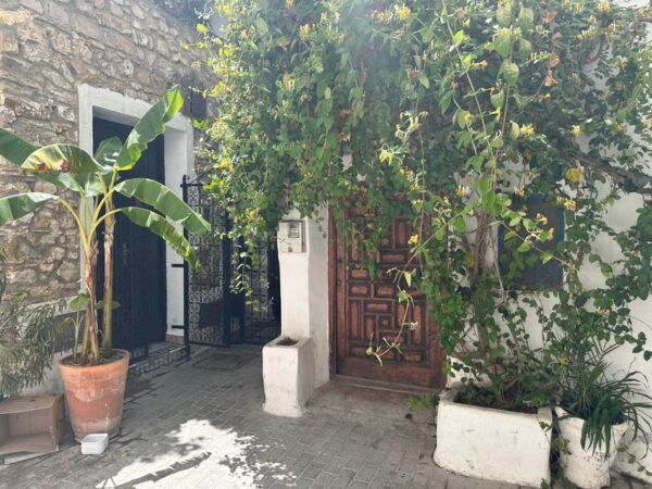Day Trip From Malaga to Tangier Morocco All Inclusive - Inclusions