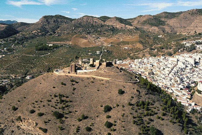 Day Trip From Malaga: White Washed Town, Vineyard & Wine Tasting - Indulge in Wine Tasting