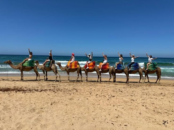 Day Trip From Marbella to Tangier Morocco All Inclusive - Itinerary Highlights