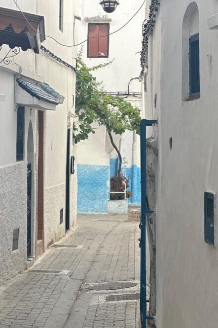 Day Trip From Marbella to Tangier Morocco All Inclusive - Transportation Details
