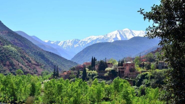 Day Trip From Marrakech Atlas Mountains and Waterfall - Activity Duration and Guide Availability