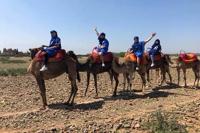 Day Trip From Marrakech To Atlas Mountains And Camel Ride - Transportation and Pickup Details