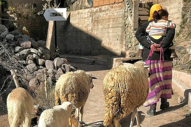 Day Trip From Marrakech to Imlil Valley Visit Waterfalls Berber - Marrakech to Imlil Valley: A Scenic Journey