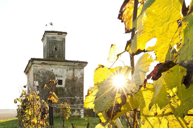 Day Trip From Milan: Franciacorta, a Paradise for Wine Lovers! - Private Tour - Tour Details