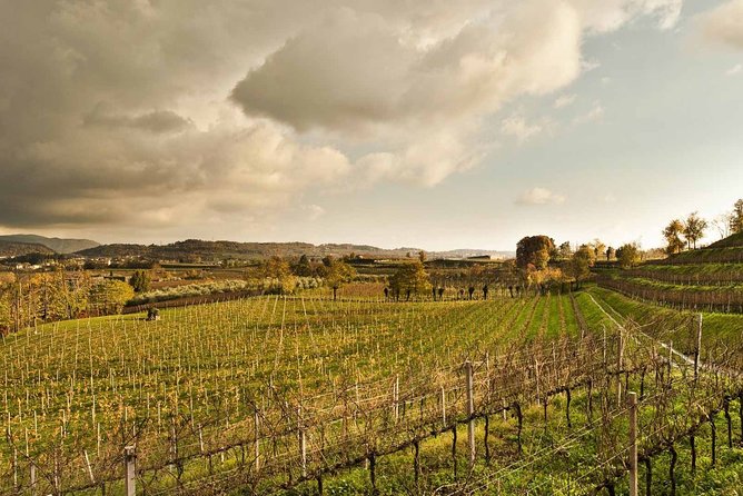 Day Trip From Milan: Franciacorta, a Paradise for Wine Lovers! - Private Tour - Itinerary