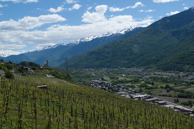 Day Trip From Milan: Valtellina and Wine Tasting - Private Tour - Good To Know