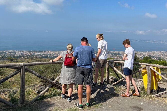 Day Trip From Naples to Mt Vesuvius & Pompeii - Cancellation Policy