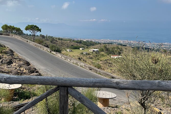 Day Trip From Naples to Mt Vesuvius & Pompeii - Frequently Asked Questions