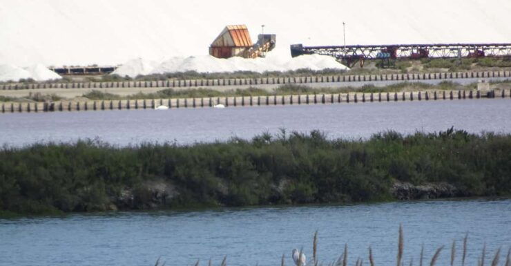 Day Trip From Nîmes to Camargue Nature Park - Key Points