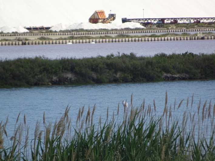 Day Trip From Nîmes to Camargue Nature Park - Detailed Itinerary