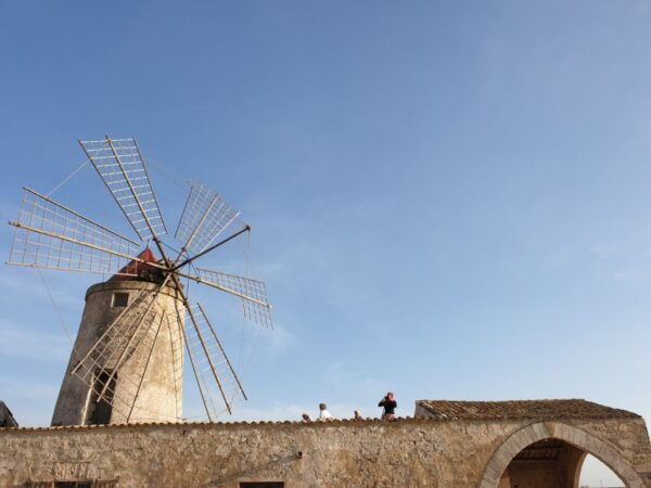 Day Trip From Palermo: Segesta, Erice, Trapani Saltpans - Booking Information
