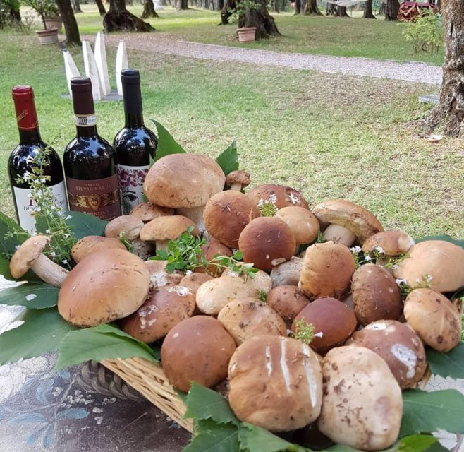 DAY TRIP FROM PISA TO PIETRASANTA WITH WINE TASTING - Good To Know