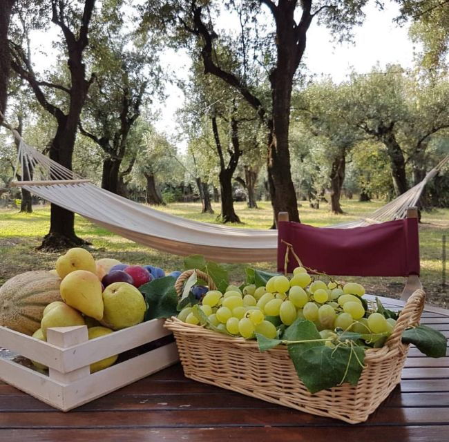 DAY TRIP FROM PISA TO PIETRASANTA WITH WINE TASTING - Trip Details