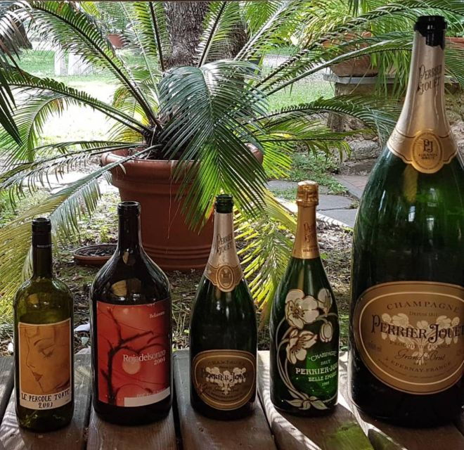 DAY TRIP FROM PISA TO PIETRASANTA WITH WINE TASTING - Itinerary