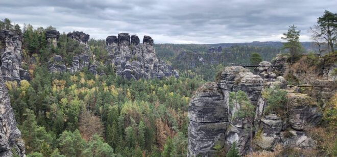 Day Trip From Prague to Bohemian and Saxon Switzerland - Included Services