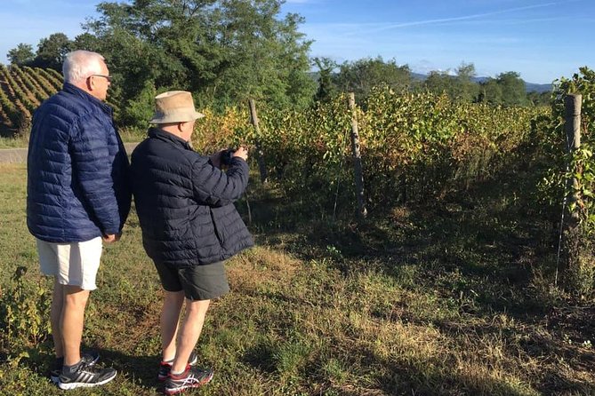 Day-Trip From Rome to Montepulciano&Pienza With Wine Tasting - Additional Information