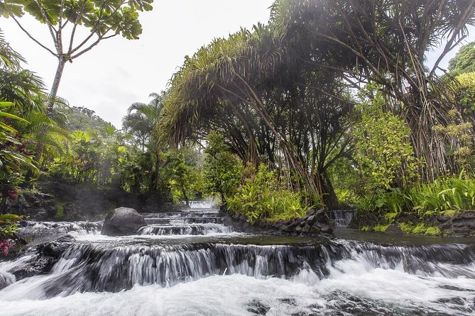 Day Trip From San Jose to Tabacon Hot Springs Resort & Spa - Traveling From San Jose to Tabacon