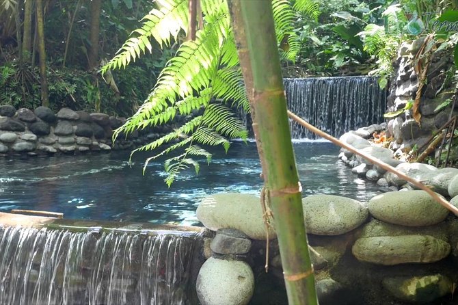 Day Trip From San Jose to Tabacon Hot Springs Resort & Spa - Arrival and Check-in Process