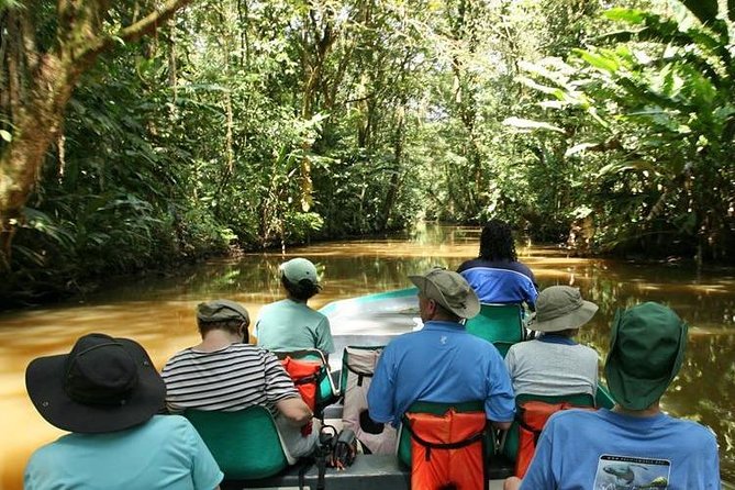 Day Trip From San Jose to Tortuguero National Park (Canals) - Wildlife Spotting Opportunities