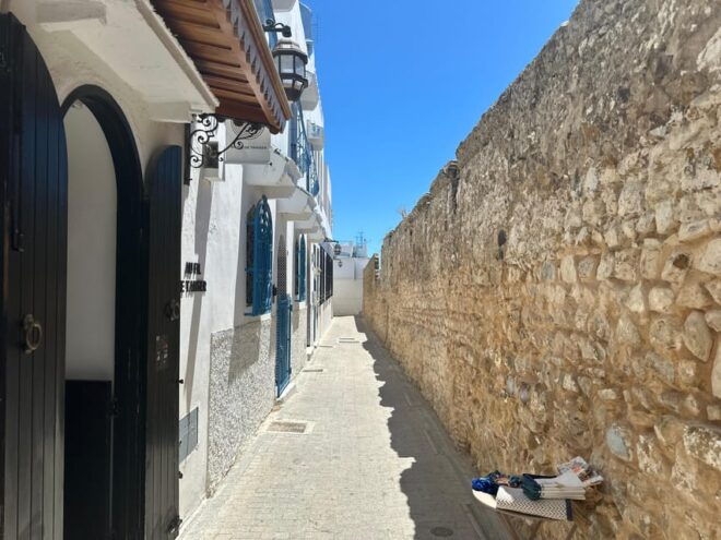 Day Trip From Seville to Tangier All Inclusive - Languages Offered