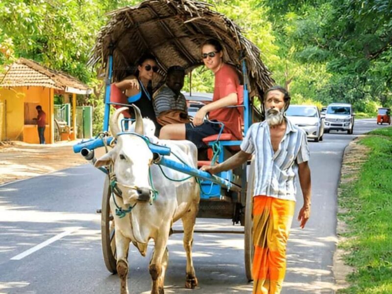 Day trip from Sigiriya to Dambulla - Optional Experiences and Hidden Gems