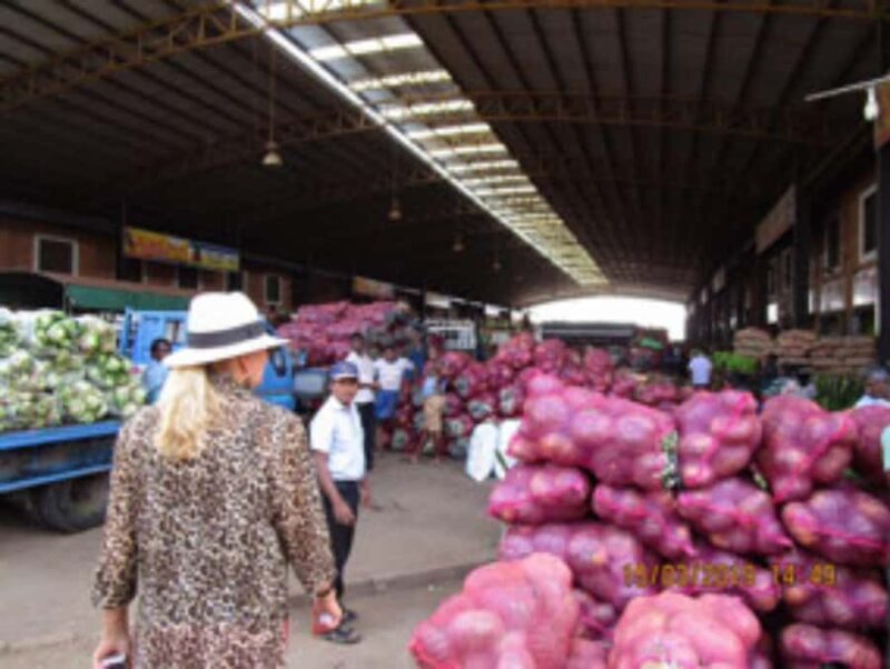 Day trip from Sigiriya to Dambulla - Who Will Enjoy This Tour Most?