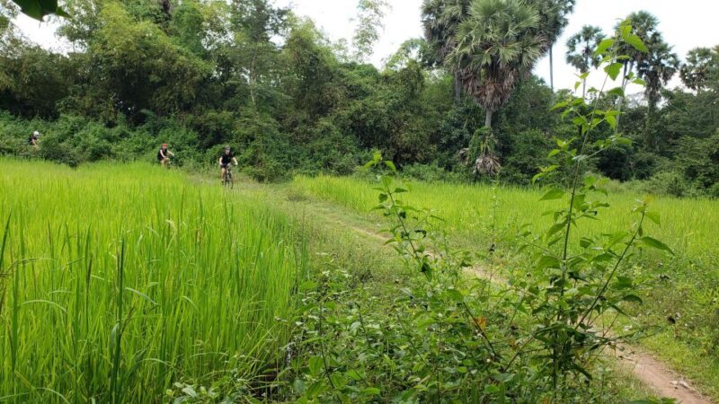 Day Trip from Sihanoukville to Phnom Penh for Cruise Guests - Historical Reflection at Tuol Sleng Genocide Museum