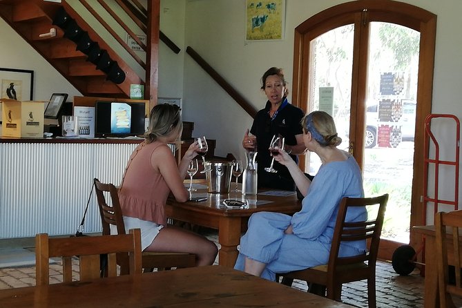 Day Trip From Sydney Wines, Wildlife and Rock Engravings in a Day - The Sum Up