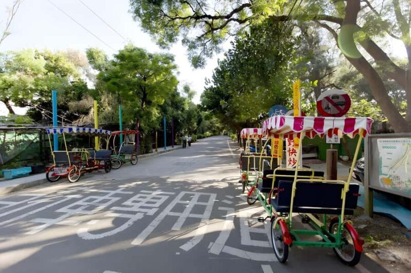 Day Trip from Taipei: Coast Cycling, Railbike & Ginger Spa - An In-Depth Look at the Tour Experience  