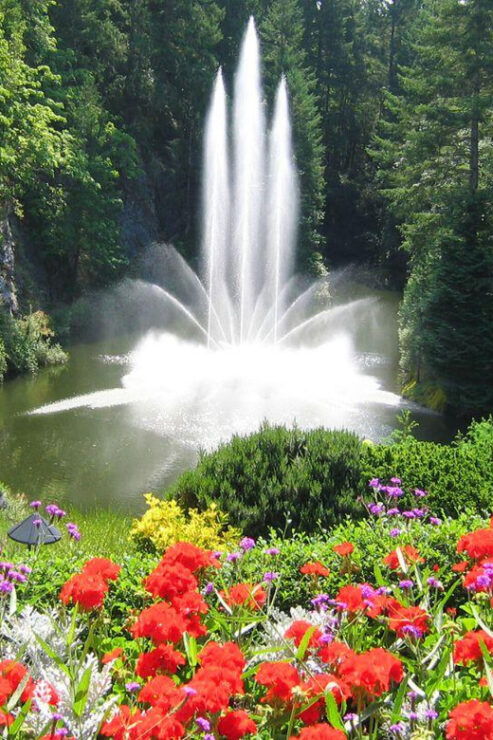 Day Trip From Vancouver to Victoria and Butchart Gardens - Good To Know