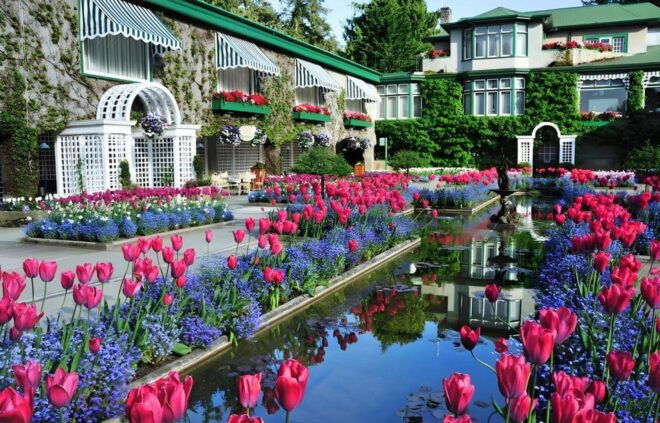 Day Trip From Vancouver to Victoria and Butchart Gardens - Wildlife Spotting Opportunities