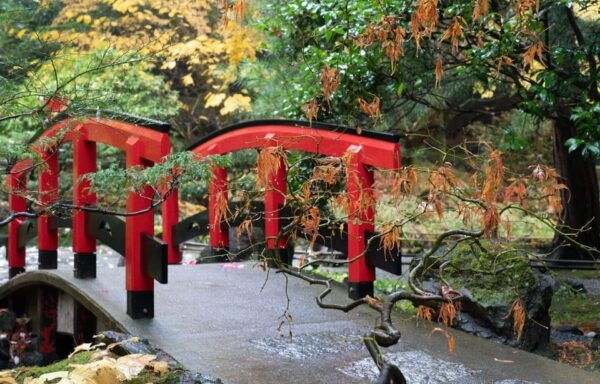 Day Trip From Vancouver to Victoria and Butchart Gardens - Customer Reviews