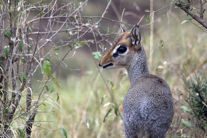 Day Trip Hells Gate National Park-Lunch Included - Cancellation Policy Overview