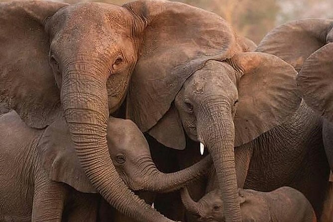 Day Trip in Arusha National Park - Cancellation Policy