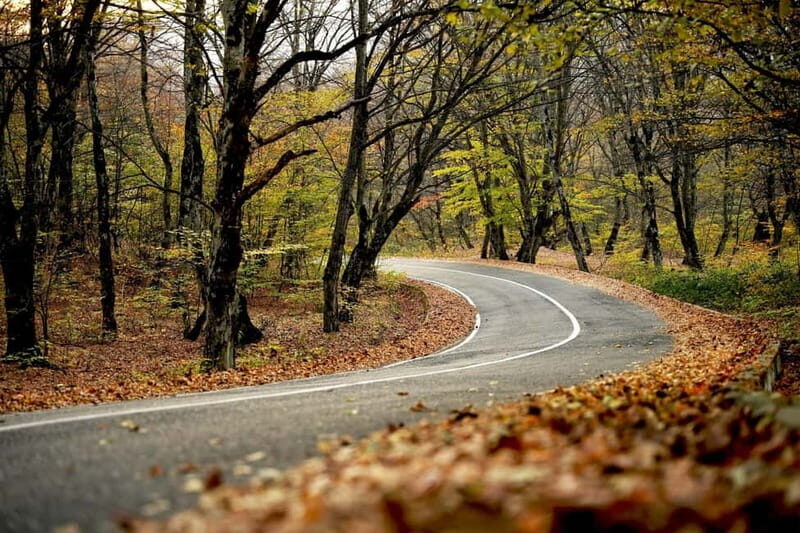 Day trip in Kakheti-Beauty and Love in a Glass Wine - Lunch and Local Delights in Badiauri
