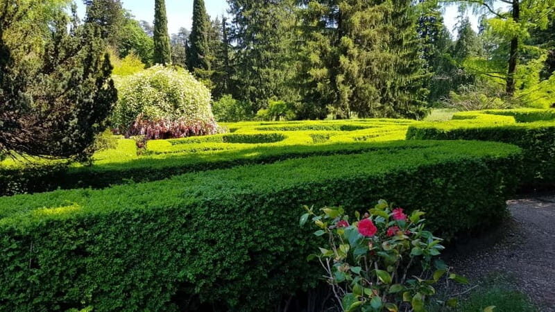 Day trip in Kakheti-Beauty and Love in a Glass Wine - Visiting the Sehnika Winery & Tasting Traditional Wines